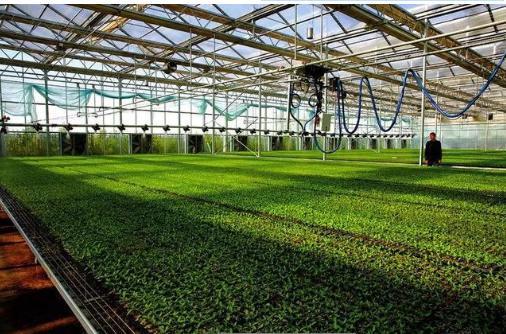 農藥雙減技術,助力鄉村振興