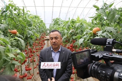 深耕研發(fā) 孕育希望——壽光市政協(xié)委員劉樹森的“種業(yè)夢(mèng)”與農(nóng)業(yè)科技服務(wù)